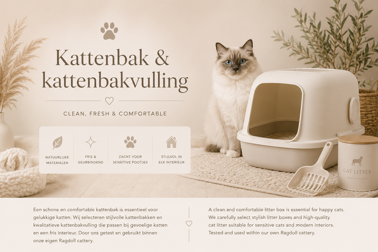 Kattenbak & stenen