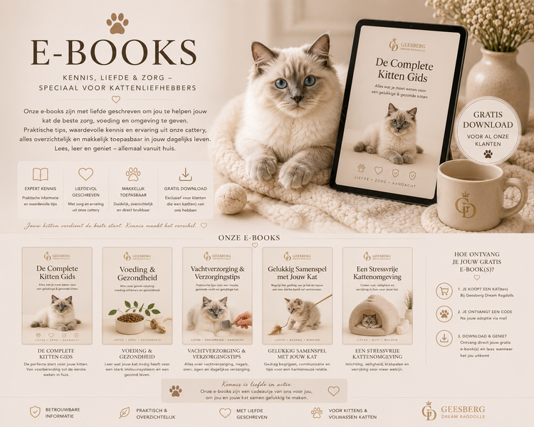 E-Boeken
