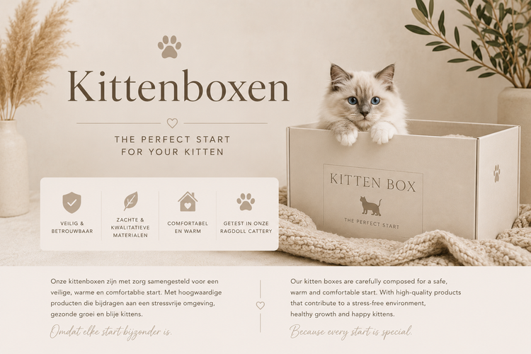 Kittenboxen