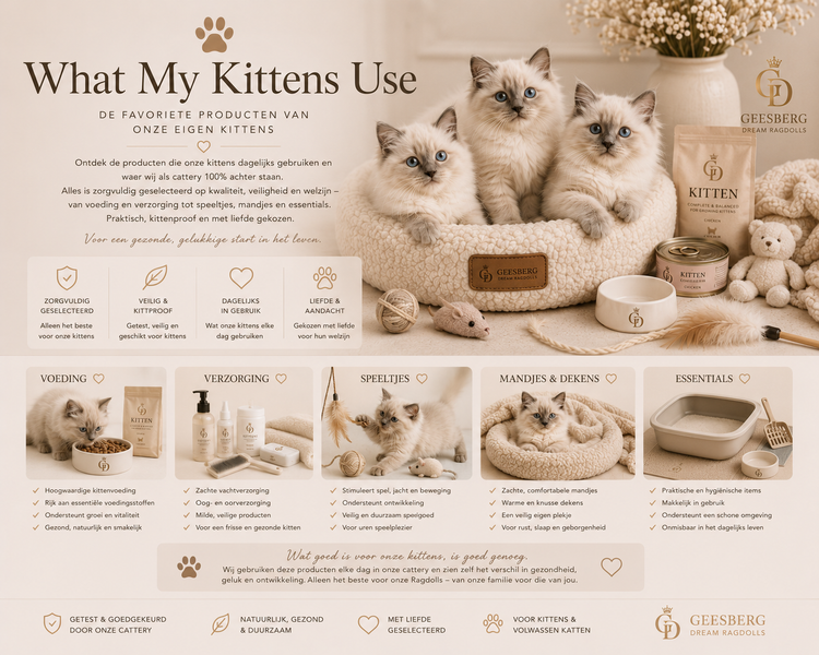 What my kittens use