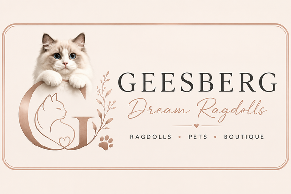  Geesberg Dream Ragdolls